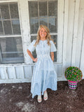 Blue Plaid Picnic Dress